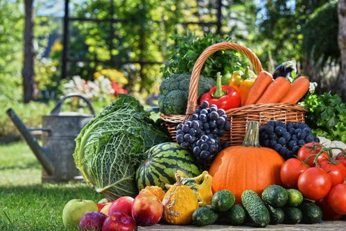 德清農副產品特色美食歡樂購開啟，新鮮蔬菜等您來選購