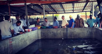 斯里蘭卡召開海參生態養殖技術推廣現場會，推動內陸水產養殖與銷售協同發展