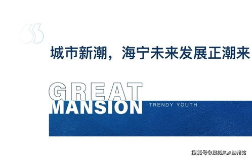 海寧2021網(wǎng)絡安全事件 官方緊急響應與軟件開發(fā)新動向